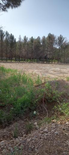 عکس پارک فدک پایگاه هوایی