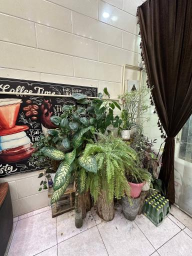 کافه بی‌نظیر