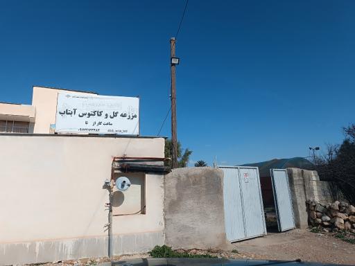 عکس مزرعه کاکتوس آبتاب