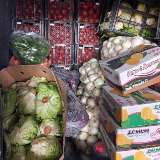 آرتا پخش (پخش تره بار رستورانی)