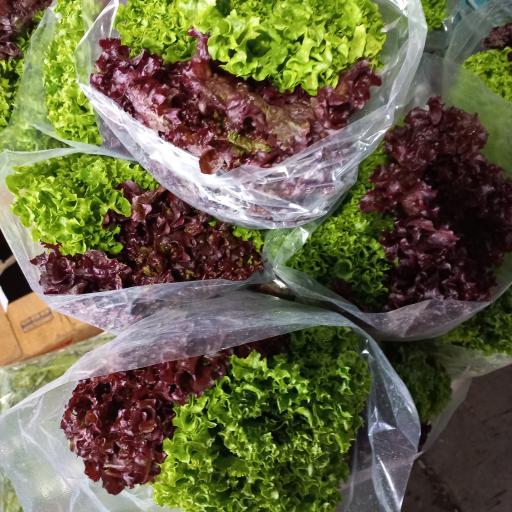 عکس آرتا پخش (پخش تره بار رستورانی)