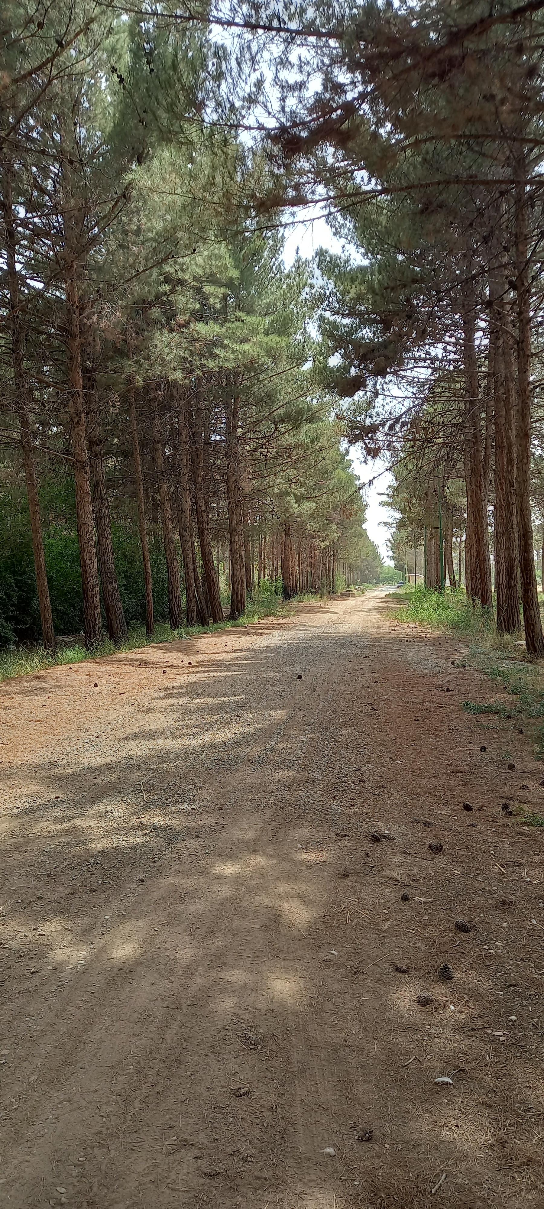 عکس پارک فدک پایگاه هوایی