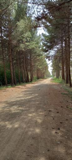 عکس پارک فدک پایگاه هوایی