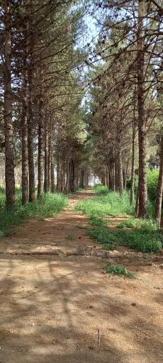 عکس پارک فدک پایگاه هوایی