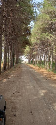 عکس پارک فدک پایگاه هوایی