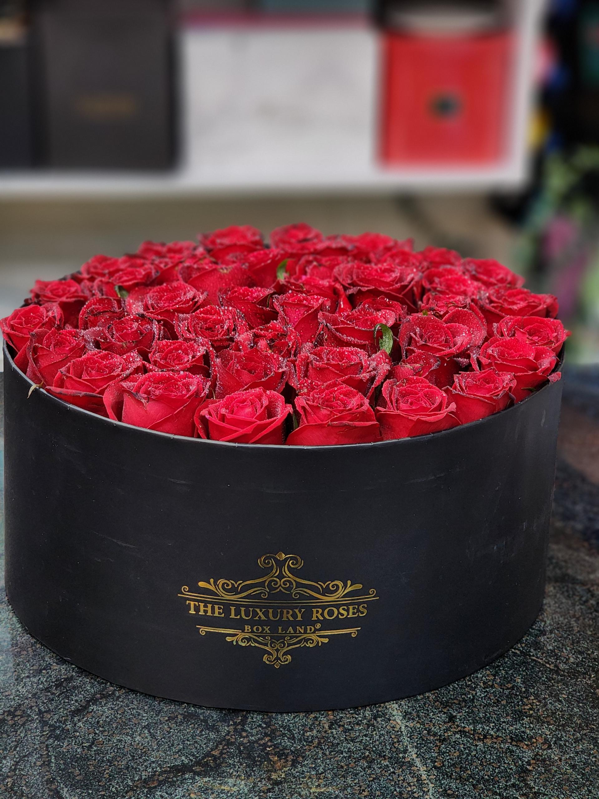 عکس گلستان گل