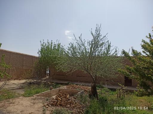 عکس مسجد قدیمی خیرالنساء 