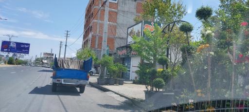 عکس قالیشویی پاتریس