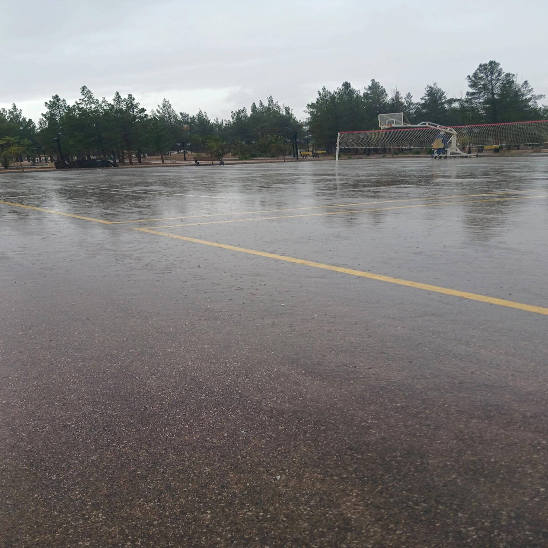 عکس پارک بهارستان