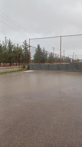 عکس پارک بهارستان