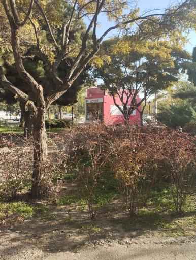 عکس شهرنت بانک شهر