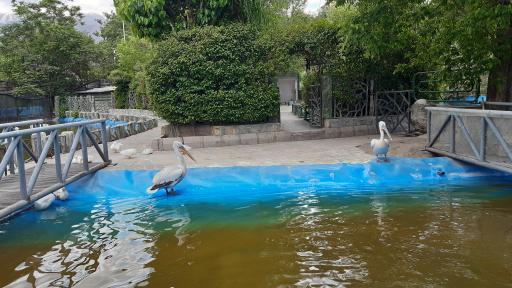 عکس دریاچه بوستان ملت