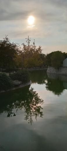 عکس دریاچه بوستان ملت