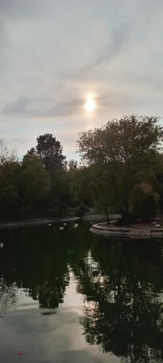 عکس دریاچه بوستان ملت