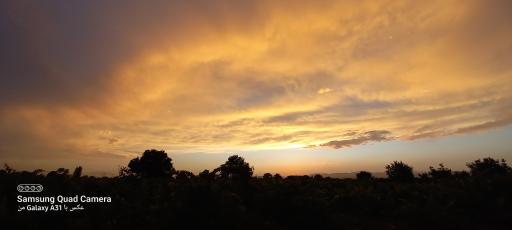 عکس تاکستان