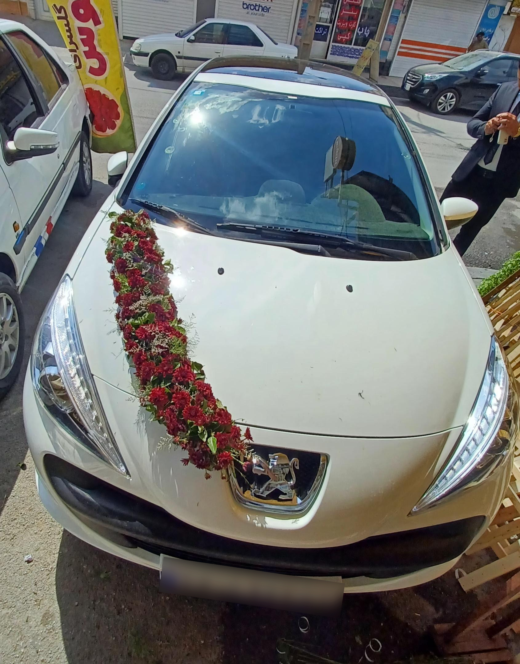 عکس گلسرای کاکتوس