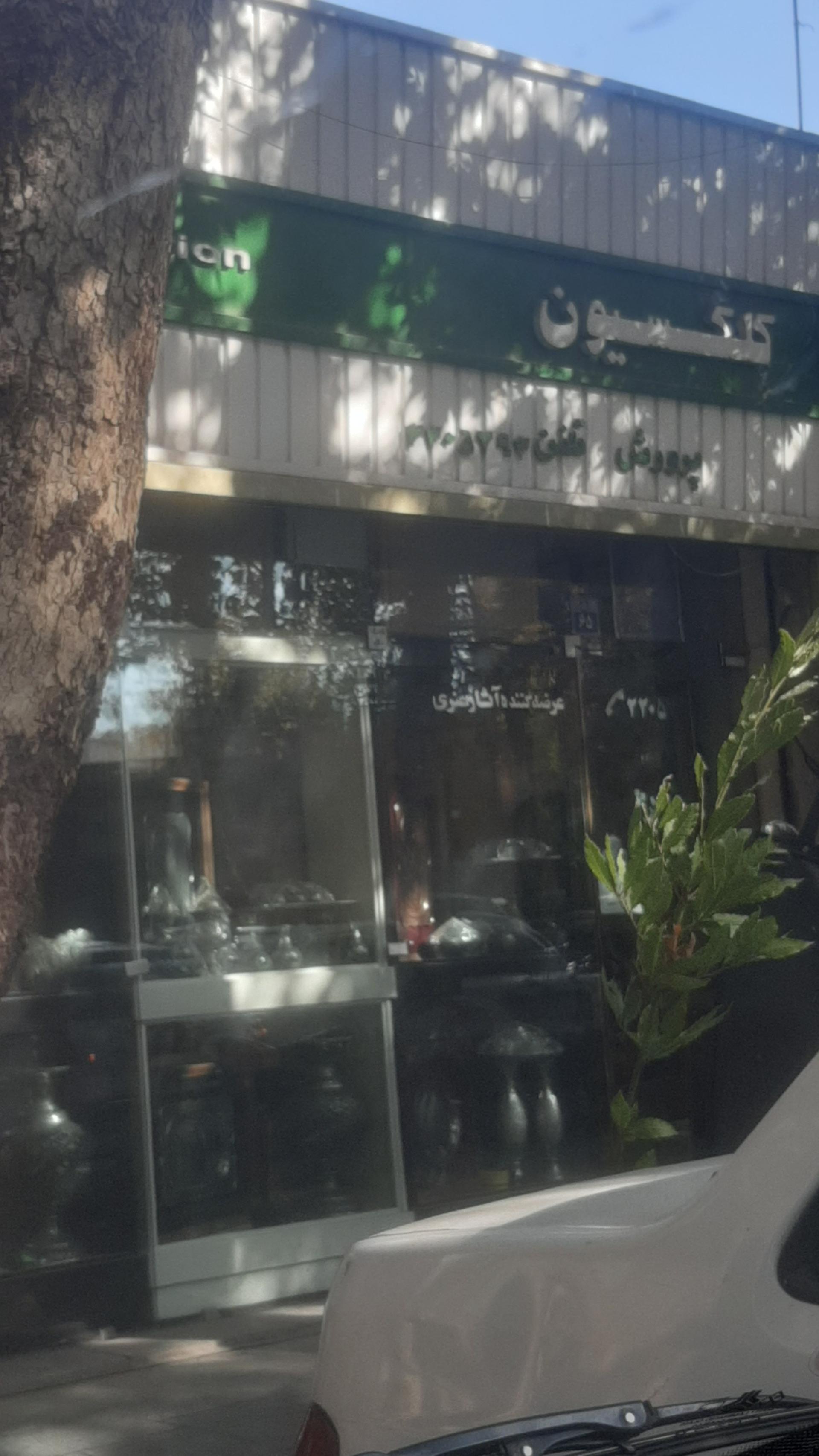 عکس نقره و آثار هنری کلکسیون