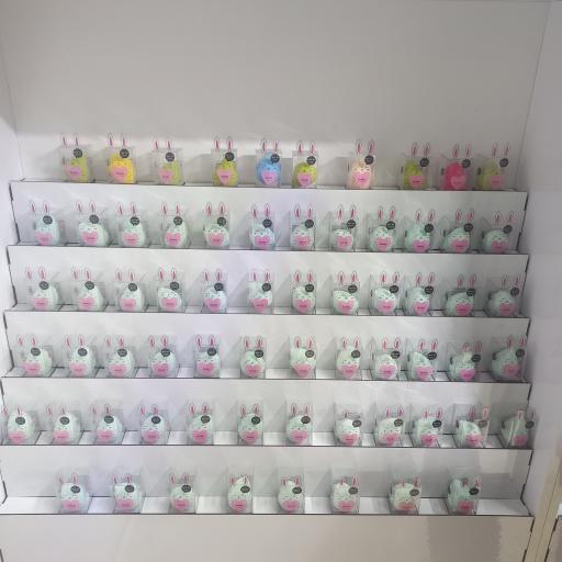 عکس گالری قو