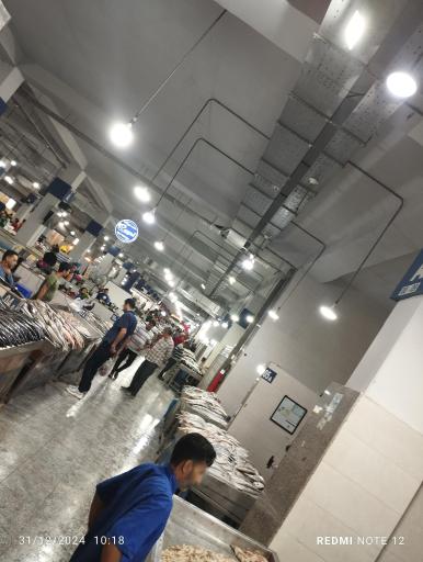 عکس ماهیران