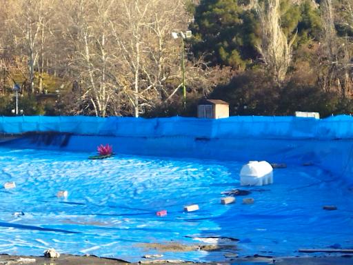 دریاچه بوستان ملت