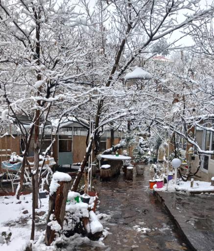 عکس باغچه رستوران شاران