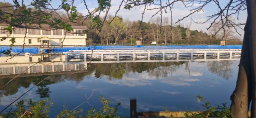 عکس دریاچه بوستان ملت