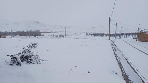 عکس تاکستان