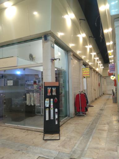 عکس گالری گربه طلایی