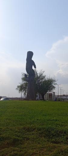 عکس تاکستان