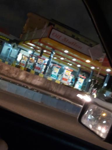 عکس جایگاه ممتاز نوفر رشت