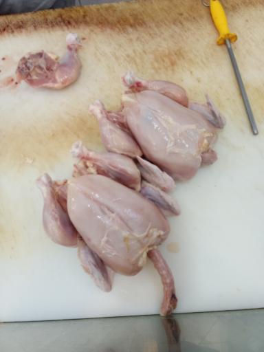 عکس مرغ فروشی