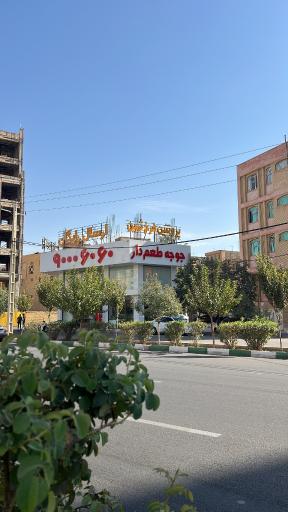 عکس پروتئین فرخ ثمین