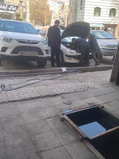 عکس مکانیکی و جلوبندی صنوبر