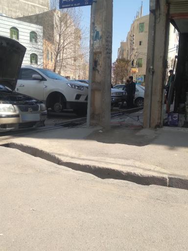 عکس مکانیکی و جلوبندی صنوبر