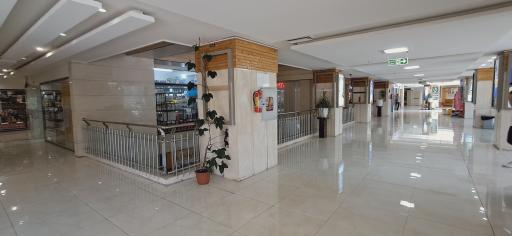 مجتمع تجاری ایرانیان