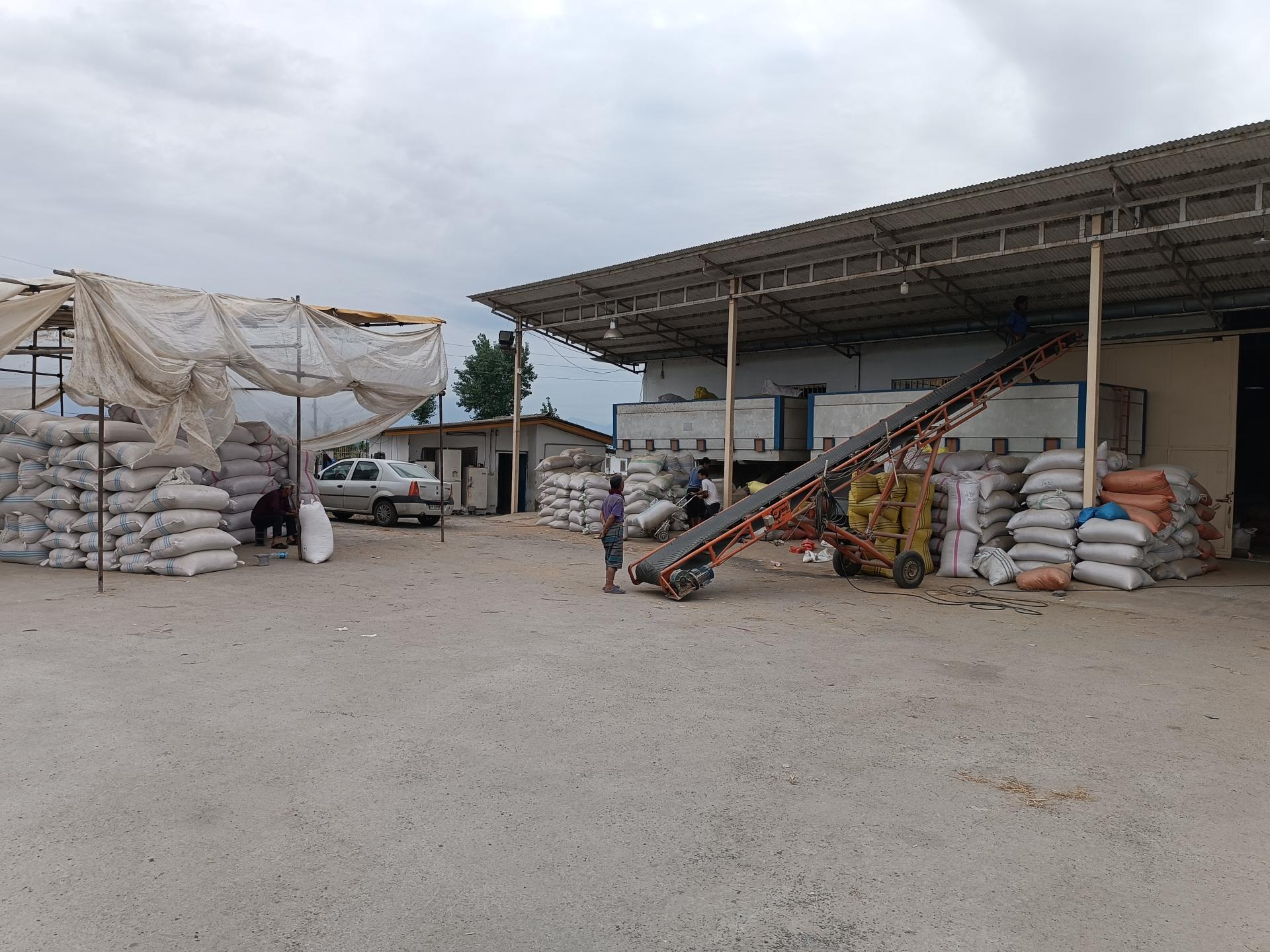 عکس کارخانه شالیکوبی غلامی