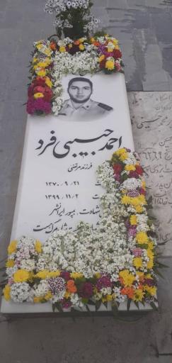 عکس مزار شهید احمد حبیبی فرد 
