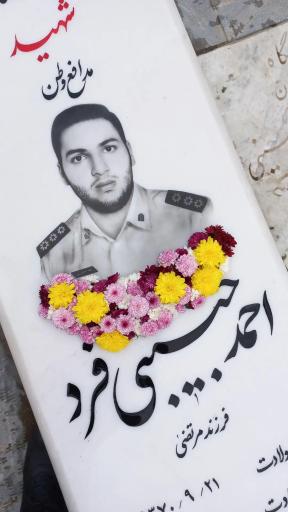 عکس مزار شهید احمد حبیبی فرد 
