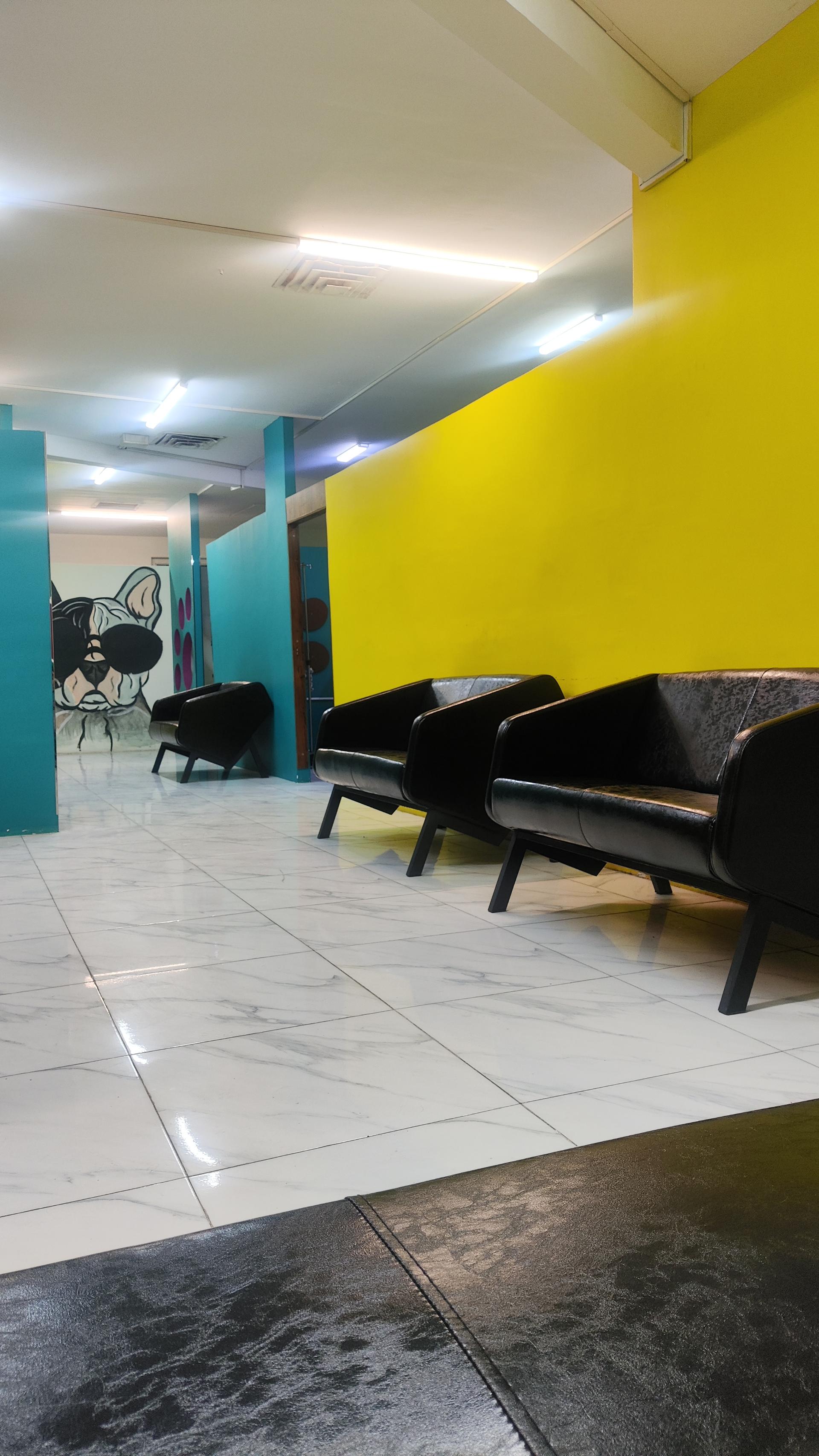 عکس دامپزشکی ضیا پت 