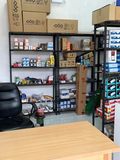 عکس الکتریکی امیر