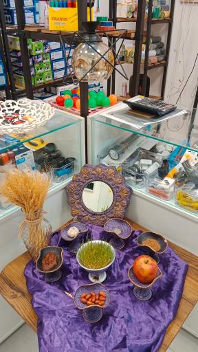 عکس الکتریکی امیر