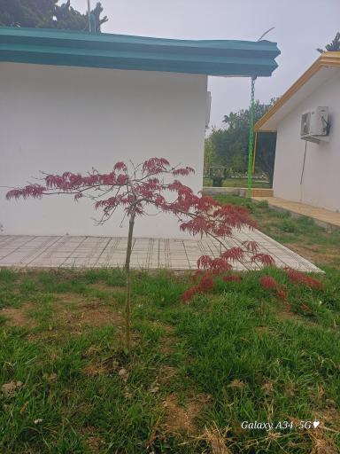 عکس مجتمع تفریحی شهید شهریاری