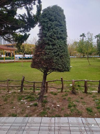 عکس مجتمع تفریحی شهید شهریاری