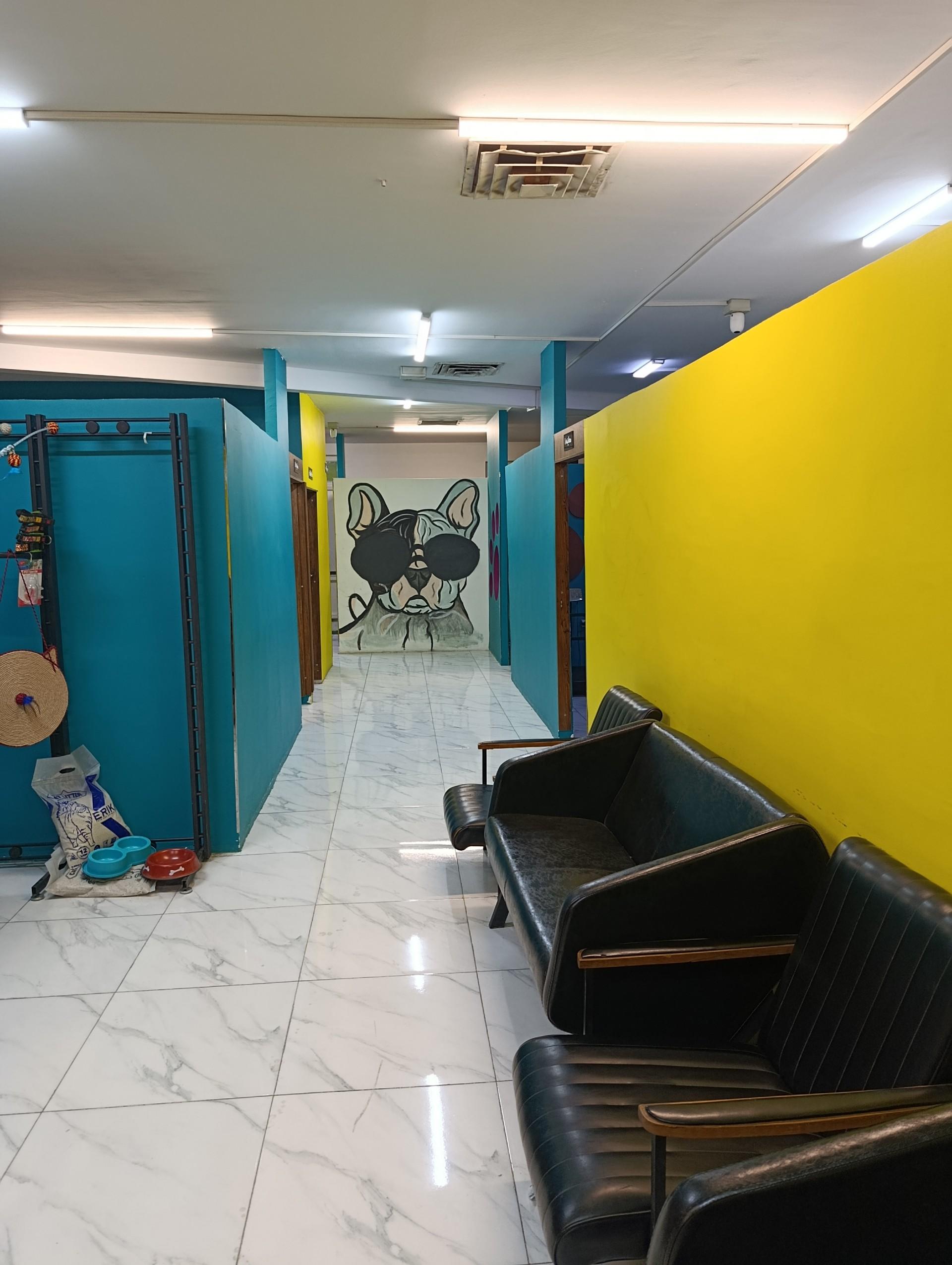 عکس دامپزشکی ضیا پت 