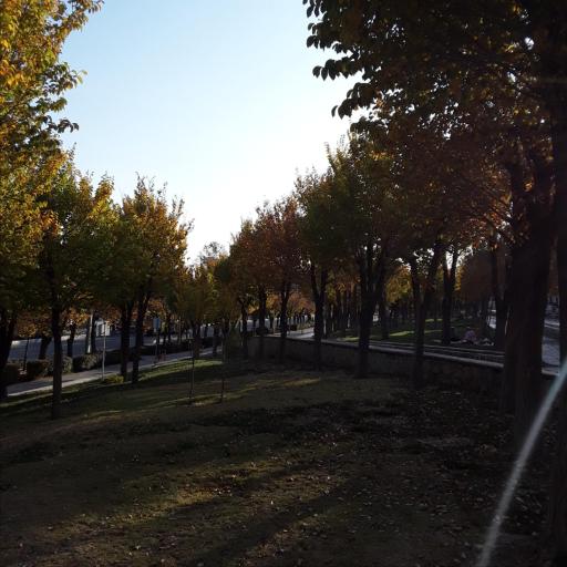 عکس پارک معلم شهرضا - امامزاده شاهرضا