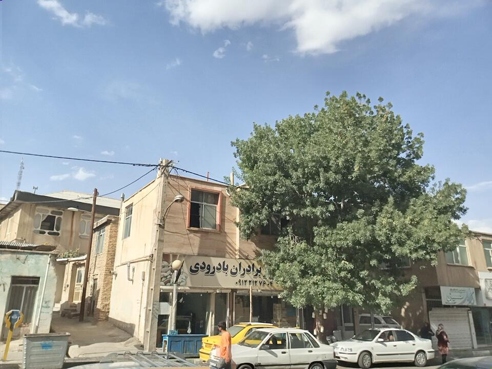 عکس خشکبار برادران بادرودی
