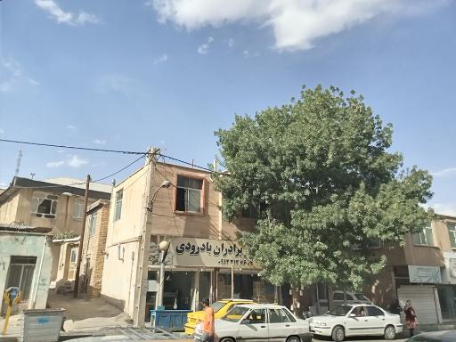 عکس خشکبار برادران بادرودی