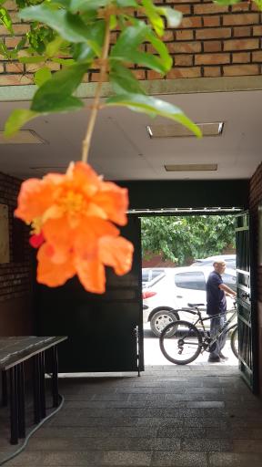 عکس خانه موزه شهید مطهری