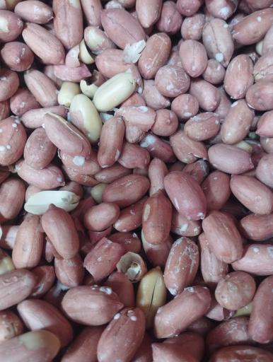 آجیل و خشکبار طیب