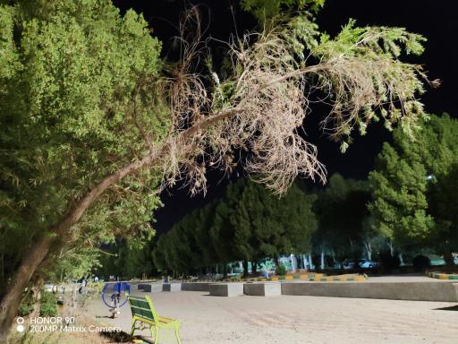 عکس پارک دانشجو